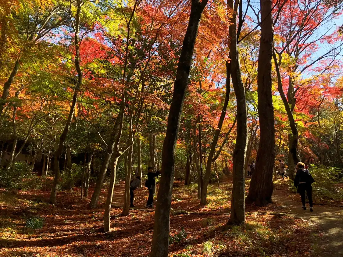 Hotels near Zuihoji Park