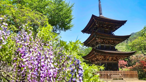 Zensanji Temple