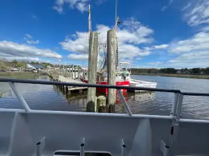 Hurricane Fleet Charter Fishing & Dolphin Cruises