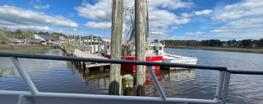 Hurricane Fleet Charter Fishing & Dolphin Cruises
