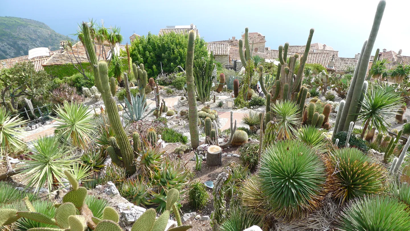 5_Chemin de Nietzsche