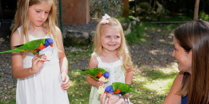 Ardastra Gardens & Wildlife Conservation Centre