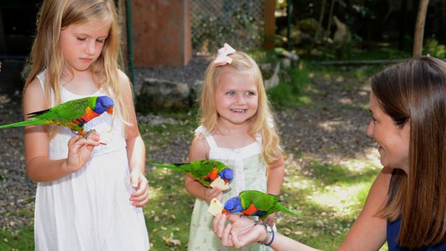 Ardastra Gardens & Wildlife Conservation Centre