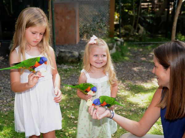 Ardastra Gardens & Wildlife Conservation Centre