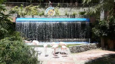 Expanzoo