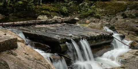 Chapman Creek Hatchery and Nature Destination