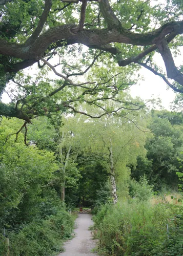 Castell Ewloe