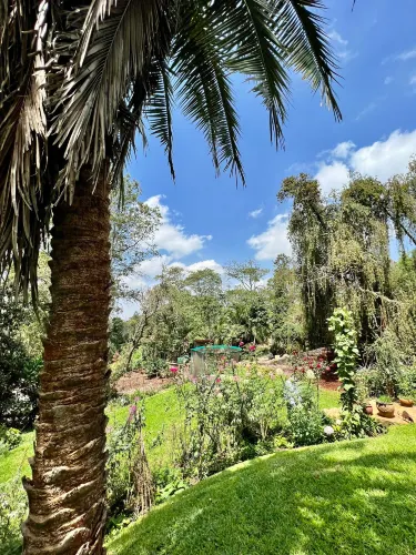 Limuru Town.
