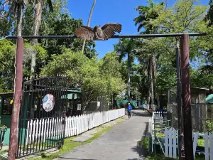 Guyana Zoo
