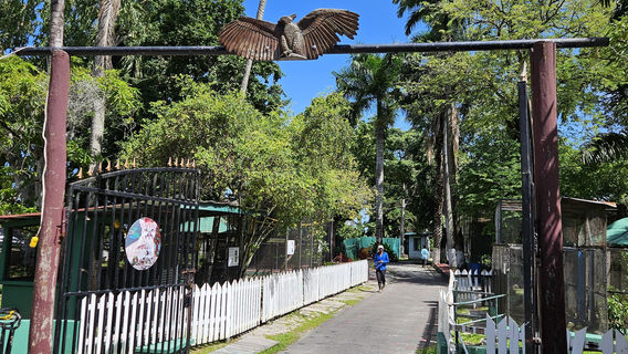 Guyana Zoo