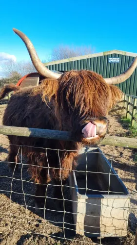 Walnut Tree Farm Park