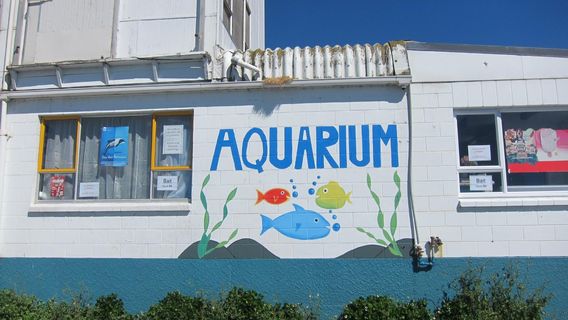 Kaikoura