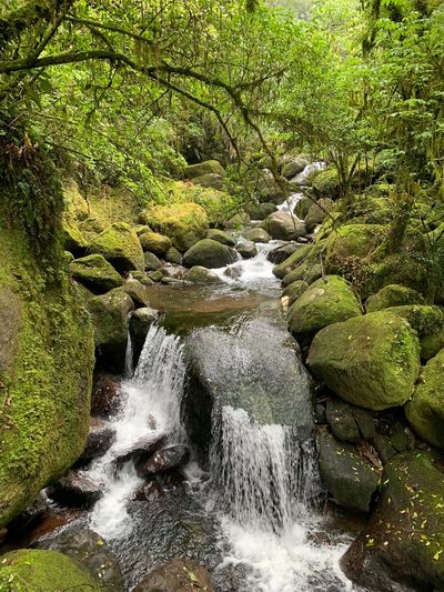 Wairere Falls