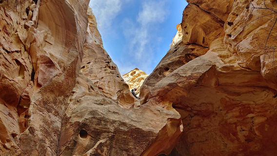 Redrock Adventure Guides