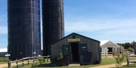 The Farm Institute