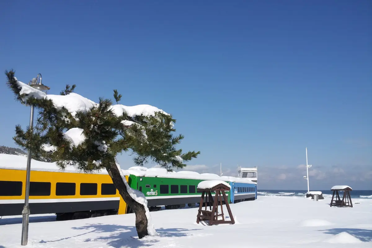 새해 가볼 만한 곳 정동진해변