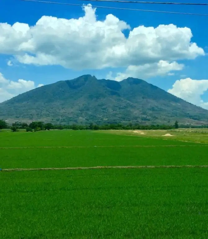 Arayat