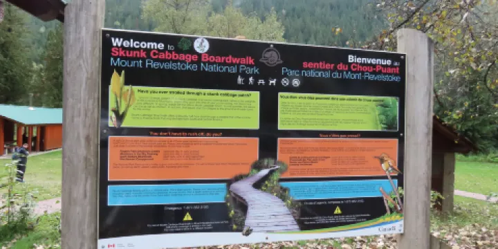 Skunk Cabbage Boardwalk