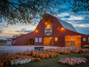 Grandaddy's Farm