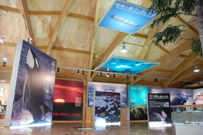 Shiretoko World Heritage Conservation Center