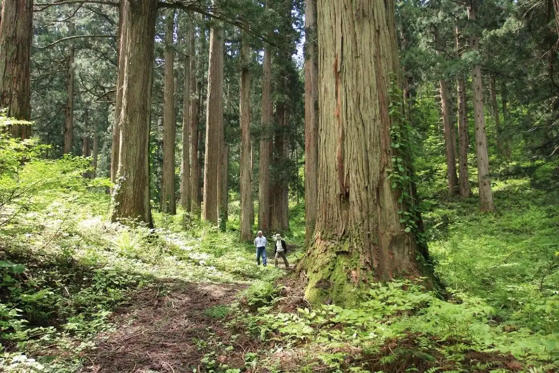 Hotels near Ominowa no Osugi