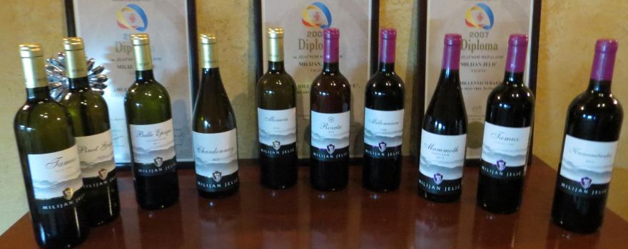 Winery Milijan Jelic