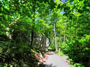 Lookout Trail