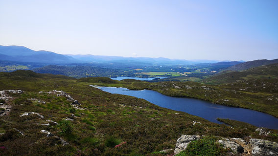 Craigellachie National Nature Reserve (Entrance)