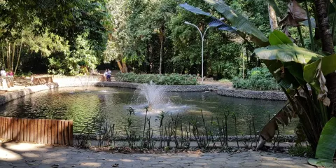 尼泰羅伊植物園