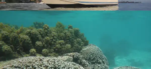 大溪地及其群島博物館附近的飯店