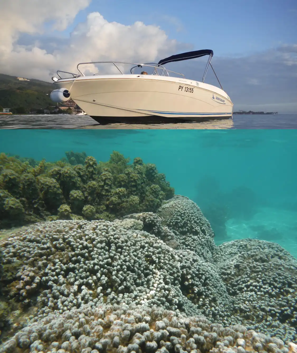 Tahiti Lagoon Paradise附近的飯店