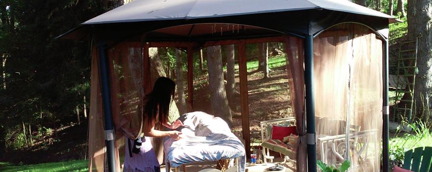 Holistica