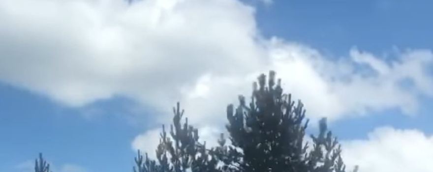 Dipsizgol Tabiat Parki