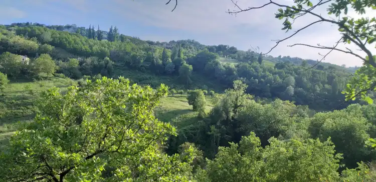 Hotels in Castelplanio