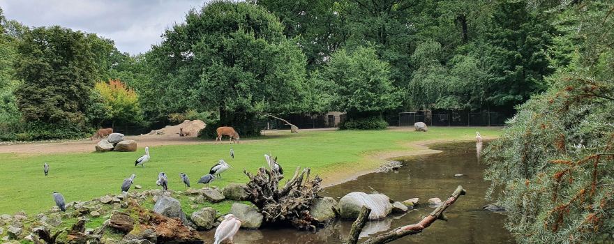 Cottbus Zoo