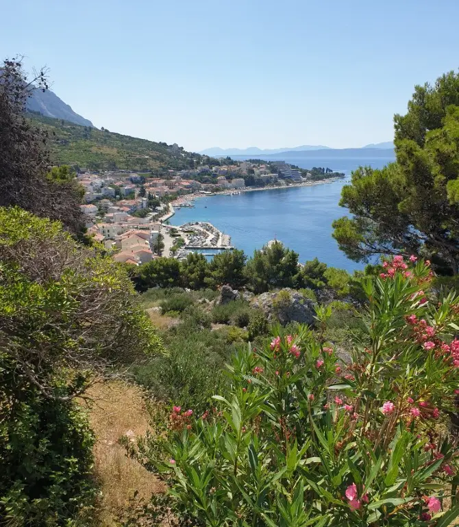 Podgora