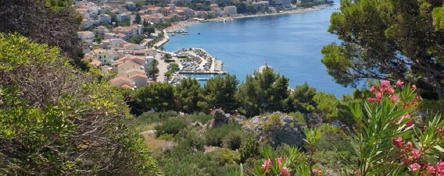 Podgora