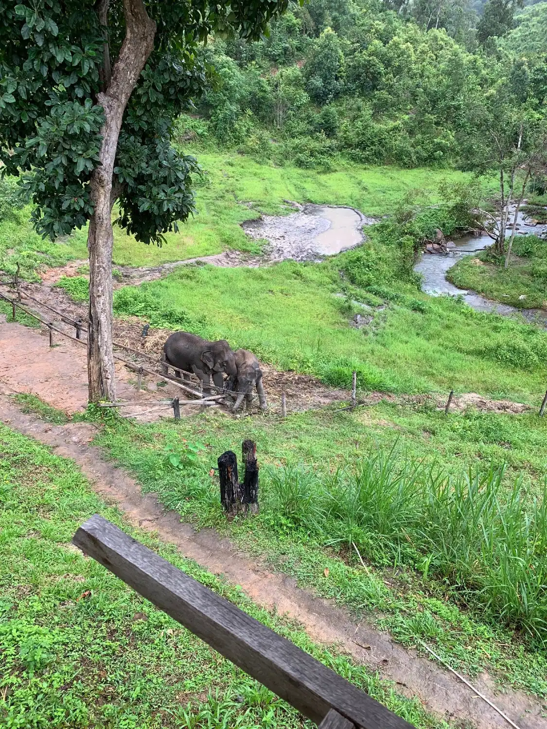 Hotels near Karen Elephant Habitat