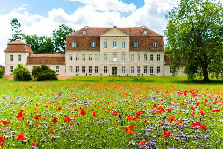 Hotels near Gutshaus Scharpzow
