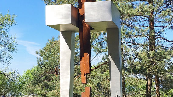 Pine trees of Rainis