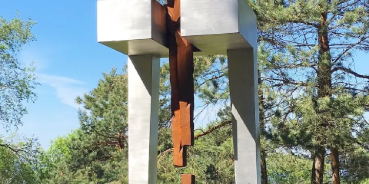 Pine trees of Rainis