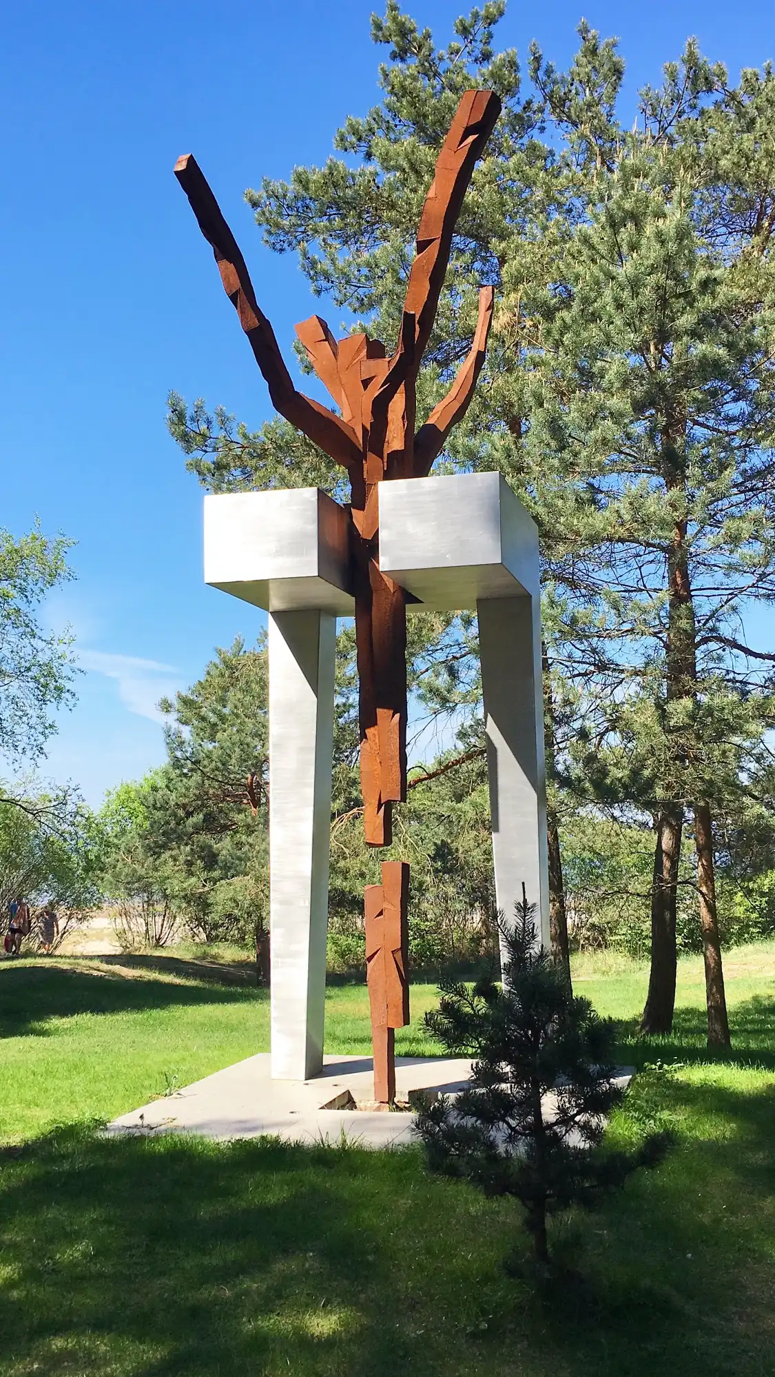 Hotels near Pine trees of Rainis