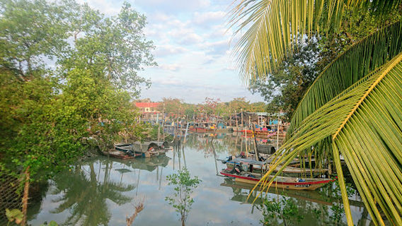 Muar