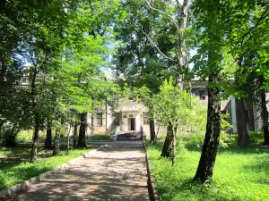 Brody Castle