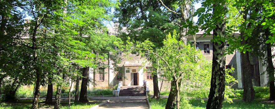 Brody Castle