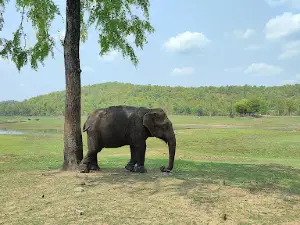 카말라퍼 엘레펀트 공원