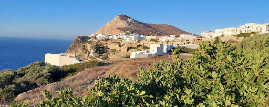 Panoramic view