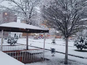 Gül Parkı