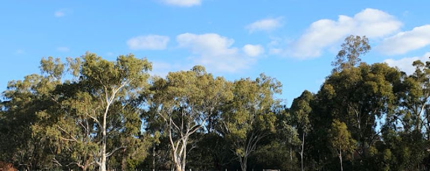 Statham Wetland