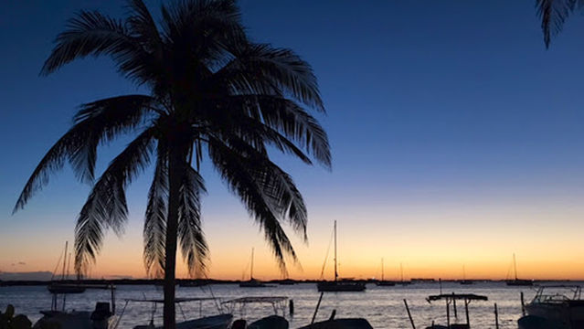 Monumento Tiburón Ballena